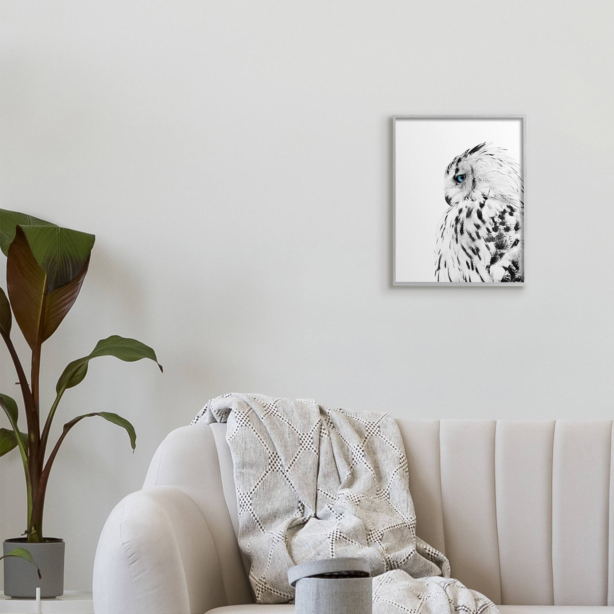Stupell Industries Snow Owl White Feathers Peering Blue Eyes in Gray Frame Wall Art